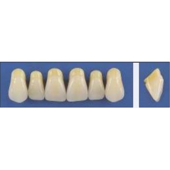 Dente Trilux F4 Superior