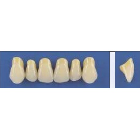 Dente Trilux T22 Superior