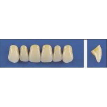 Dente Trilux T44 Superior