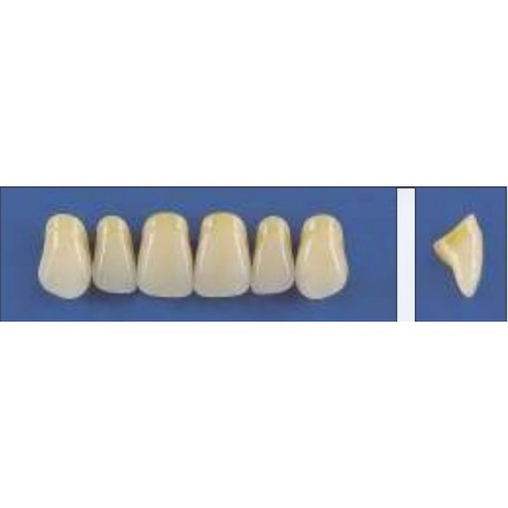 Dente Trilux T44 Superior