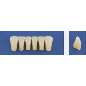 Dente Trilux L3 Inferior