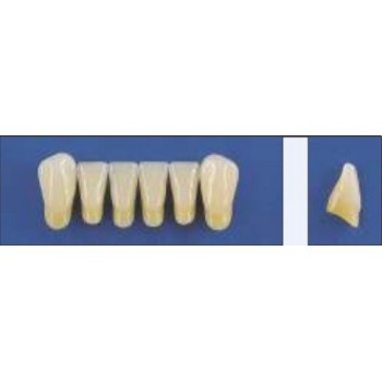 Dente Trilux L5 Inferior