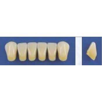 Dente Trilux K12 Inferior