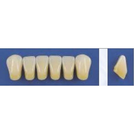 Dente Trilux K12 Inferior