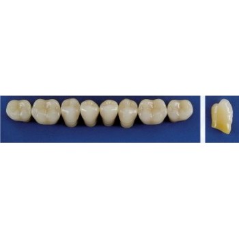 Dente Trilux M4 Inferior