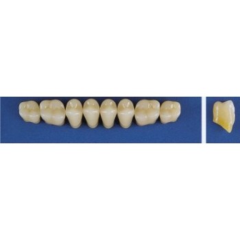 Dente Trilux M2 Superior