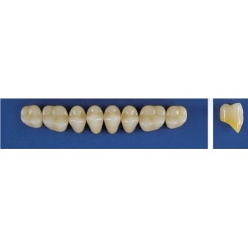 Dente Trilux M3 Superior