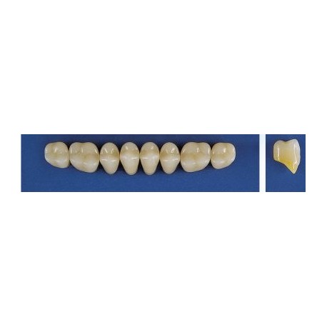 Dente Trilux M3 Superior