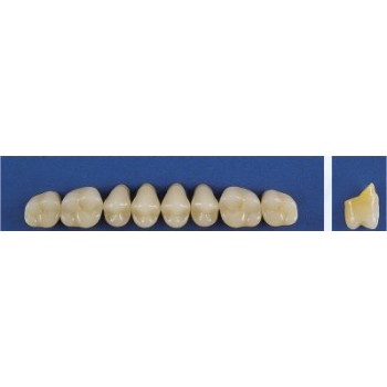 Dente Trilux M5 Superior