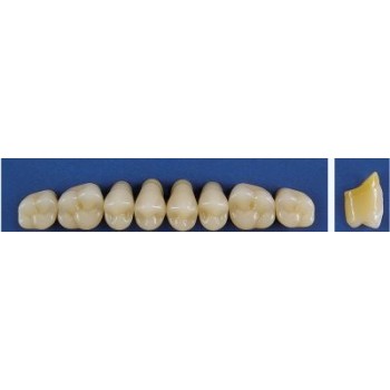 Dente Trilux M6 Superior