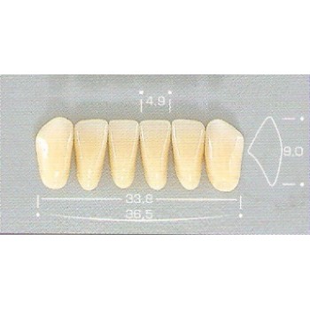 DENTE POP 3N INFERIOR