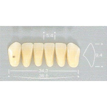 Dente Pop A25 Inferior