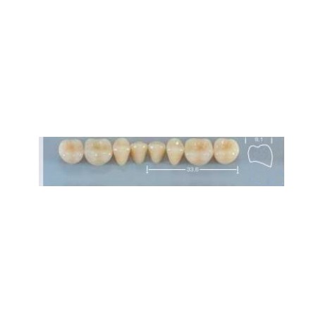 Dente Pop 32M Inferior