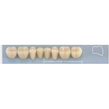 Dente Pop 30L Inferior