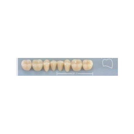 Dente Pop 30L Inferior