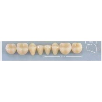 Dente Pop 32L Inferior