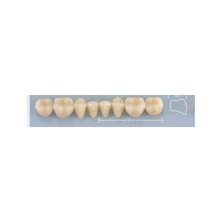 Dente Pop 32L Inferior