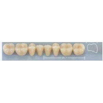 Dente Pop 34L Inferior