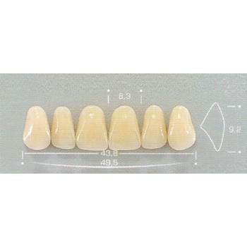 Dente Pop A25 Superior