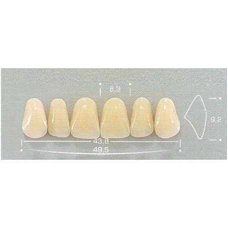 Dente Pop A25 Superior