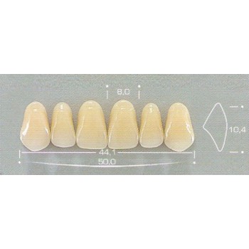 Dente Pop 264 Superior