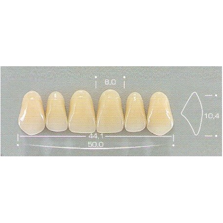 Dente Pop 264 Superior