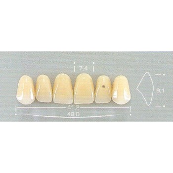 Dente Pop 2D Superior