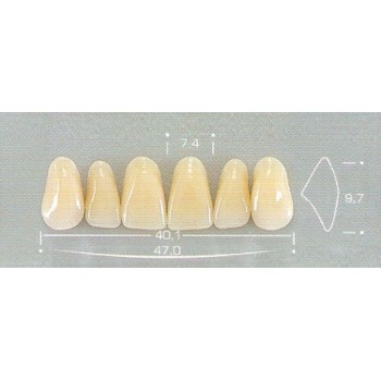 Dente Pop 2N Superior