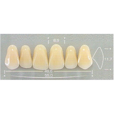 Dente Pop 266 Superior