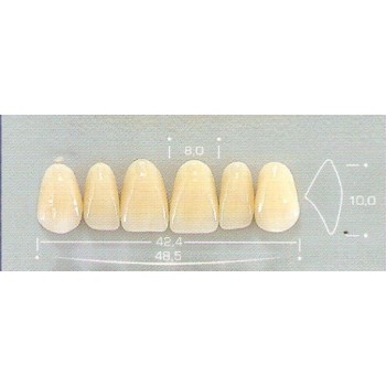 Dente pop 3N Superior