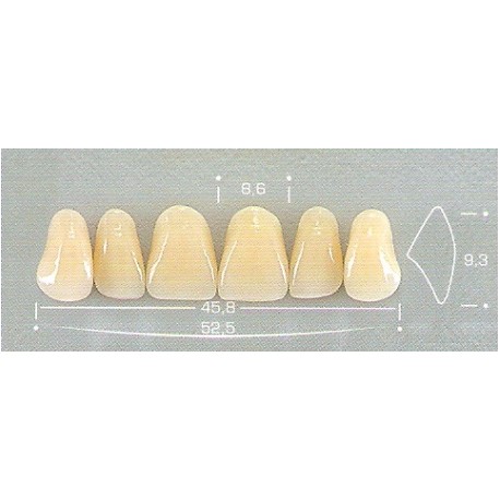 Dente Pop A26 Superior