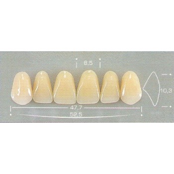 Dente Pop 3P Superior