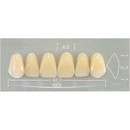 Dente Pop 3P Superior