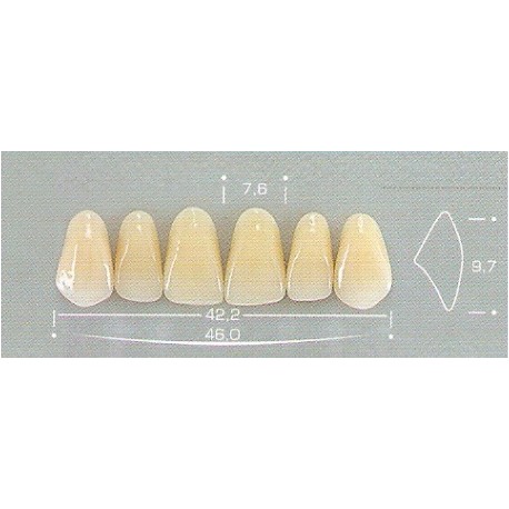 Dente Pop 263 Superior