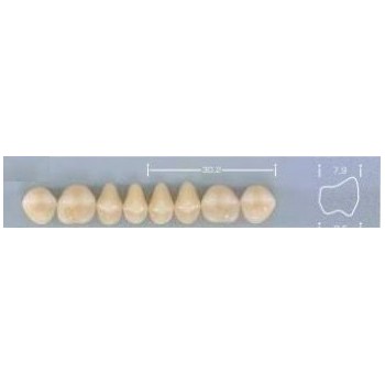 Dente Pop 30M Superior