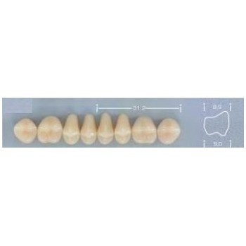 Dente Pop 30L Superior