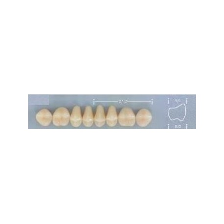 Dente Pop 30L Superior