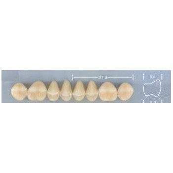 Dente Pop 32L Superior