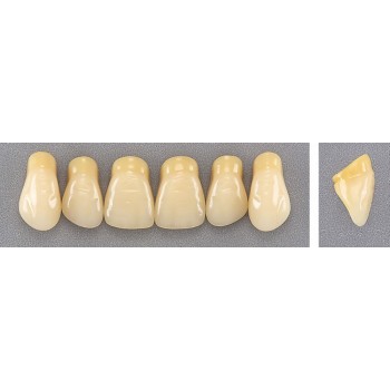 Dente Evotri E4 Superior