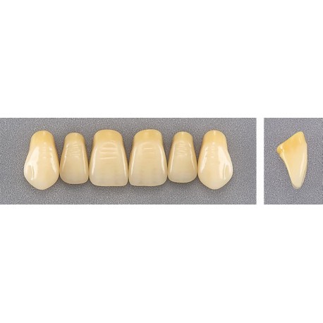 Dente Evotri G3 Superior