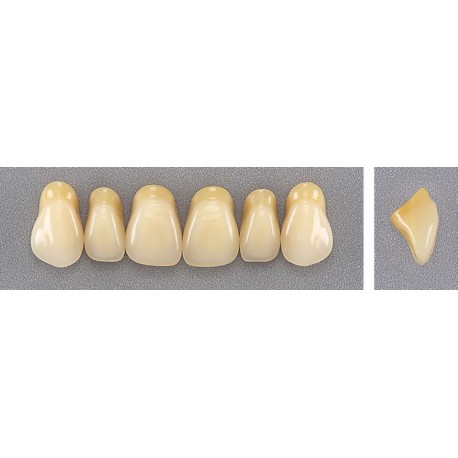 Dente Evotri O32 Superior