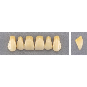 Dente Evotri E2 Superior