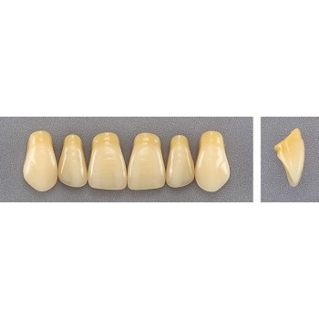 Dente Evotri E3 Superior