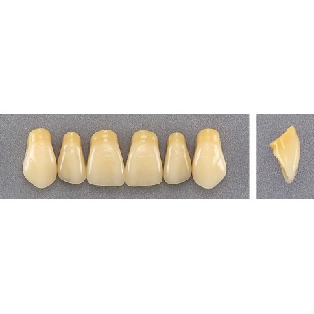 Dente Evotri E3 Superior